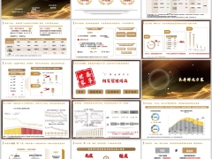 泰康鑫享世家2026终身寿险分红型产品优势客户画像20页.pptx 