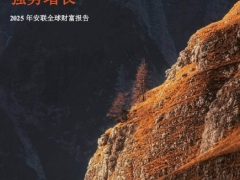 2025年安联全球财富报告强势增长44页.pdf 