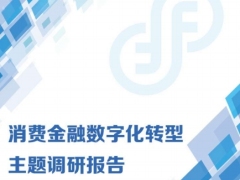 2025消费金融数字化转型主题调研报告162页.pdf 