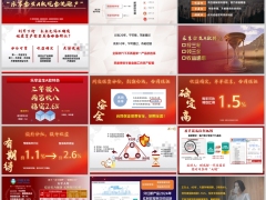 太平人寿乐享金生A款特色红利实现率案例演示18页.pptx 