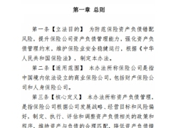 保险公司资产负债管理办法征求意见稿36页.pdf 