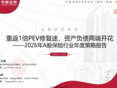 2026年A股保险行业年度策略报告重返1倍PEV修复途资产负债两端开花41页.pdf 