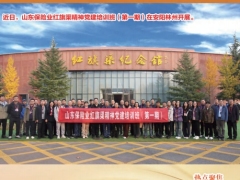 山东保险信息2025年第10期47页.pdf 