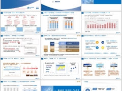 太保鑫福相伴优享25分红型产品背景概览投保示例31页.pptx 
