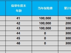 瑞众财富宝两全保险分红型瑞盈C款产品计划利益演示.xlsx 