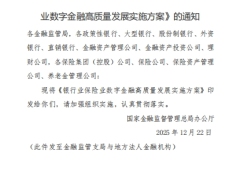 银行业保险业数字金融高质量发展实施方案14页.pdf 