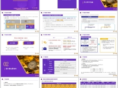 华泰臻享福2025产品设计思路形态责任及运营规则17页.pptx 