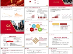 华泰人寿鸿利金生分红型开发背景产品介绍案例演示26页.pptx 