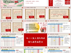 长城八达岭南山旗舰A款分红型基础知识案例演示公司介绍34页.pptx 