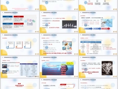 新人培训家庭健康保障方案设计原则流程呈现演练33页.pptx 