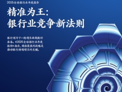 2025全球银行业年度报告精准为王银行业竞争新法则58页.pdf 