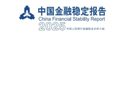 2025中国金融稳定报告117页.pdf 