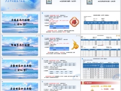 新华宏禧来聚福享宏泰宏安世家产品简介及客户权益39页.pptx 