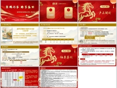 新华盛世荣耀臻享版分红型开发背景产品解析场景案例11页.pptx 