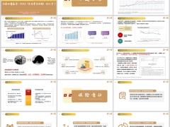 信泰如意盛享2026分红型开发背景保险责任规则案例演示32页.pptx 