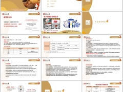 长城居庸关如意2.0分红型背景产品基本形态责任案例演示20页.pptx 