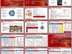 长城山海关锦绣版分红型产品优势六大核保亮点案例演示17页.pptx 