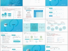 太保蛮好的人生2025分红型背景公司概况产品介绍亮点28页.pptx 