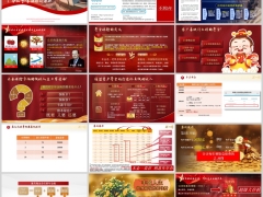 海港丰盈人生年金保险产品形态案例演示公司介绍28页.pptx 