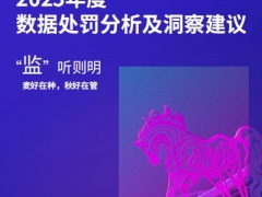 金融业监管2025年度数据处罚分析及洞察建议22页.pdf 