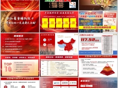 投资策略项目介绍富德生命公司介绍产说会推动宣导47页.pptx 