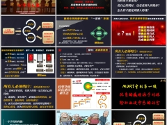 信仰的力量保险在养老医疗理财风险管理中作用30页.pptx