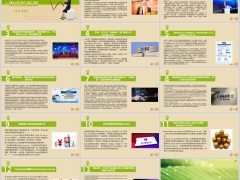 保险周刊2月2日至2月8日15页.pptx