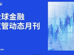 全球金融监管动态月刊第十一期12月1日至12月31日25页.pdf 