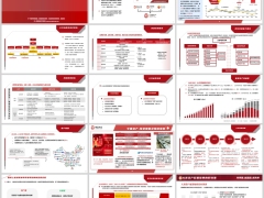 中意公司简介资管介绍及投资情况介绍组合类产品业绩27页.pptx 