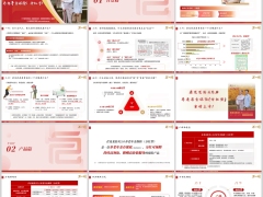 君龙龙抬头5.0分红型背景产品信息特色概览案例服务内容40页.pptx 