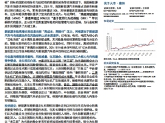 寻找中国保险的Alpha系列从保单到数据新能源车险的价值跃迁33页.pdf 