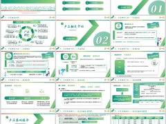 瑞泰鸿利传世2025产品特色优势相关介绍规则案例演示20页.pptx 