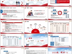 中英人寿福相伴养老年金保险产品介绍规则投保示例15页.pptx