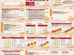 中信保诚健康有盈增额版保险计划产品要素投保案例16页.pptx