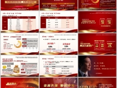 太平国威一号及年金系列万能账户基础信息产品简介15页.pptx 