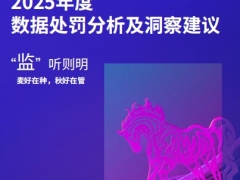 2025年度金融业监管数据处罚分析及洞察建议报告22页.pdf 