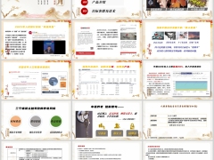 人保寿险流金岁月分红型产品理念信息特色投保示例22页.pptx 