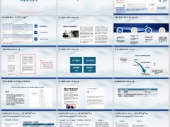 海外投资背景速览补税者典型客户画像风险分析沟通案例25页.pptx 