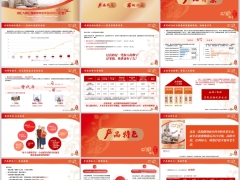 中汇人寿汇鑫颐年分红型产品背景信息特色案例演示41页.pptx