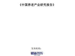 2025中国养老产业研究报告49页.pdf 