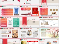 中荷公司介绍金生有约臻爱版产品定位介绍案例规则30页.pptx 