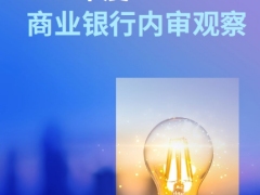 2025年度商业银行内审观察49页.pdf 