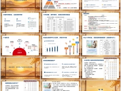中英人寿福相伴产品形态基础信息成交场景案例演示15页.pptx 