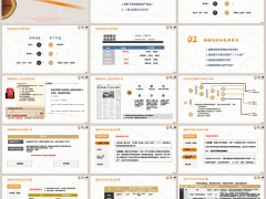 保单权益法律架构高端客户婚姻风险财产利益归属19页.pptx 