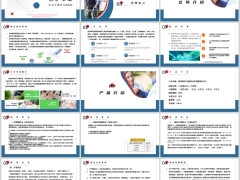 瑞华欣护安康公司介绍产品介绍保障责任案例演示32页.pptx 