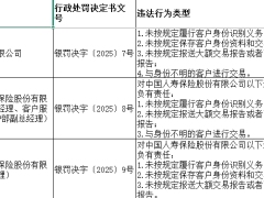 2025年度保险反洗钱处罚明细清单.xlsx 