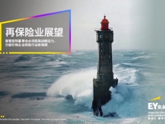 再保险业展望高管层和董事会必须极具战略定力方能引领企业致胜新周期28页.pdf 