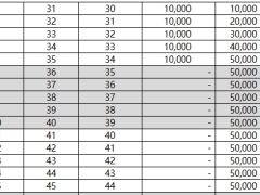 大家养老大成之家未来版分红型累积生息单机版计划书.xlsx
