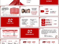 高客需求现代婚姻资产守护夫妻财产分类案例分析16页.pptx 