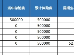 新华人寿宏益来两全保险分红型累积生息利益演示.xlsx 